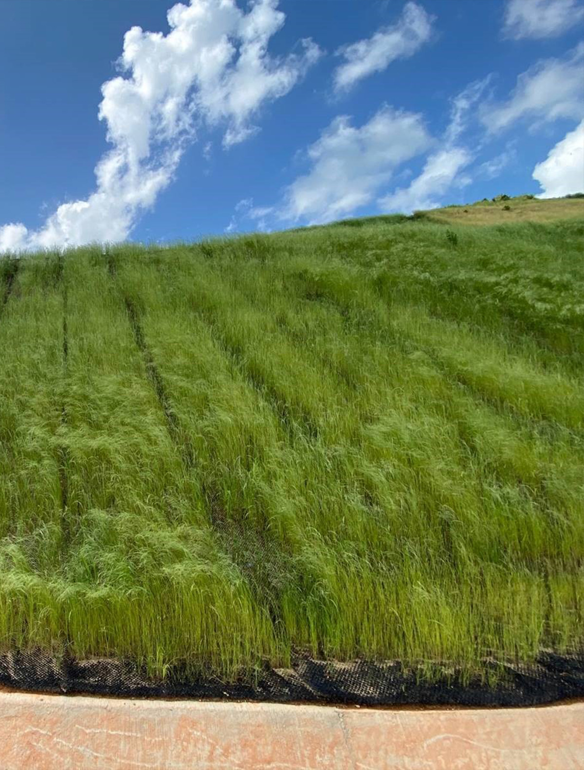 Protezione scarpate - Soluzioni ingegneria Maccaferri