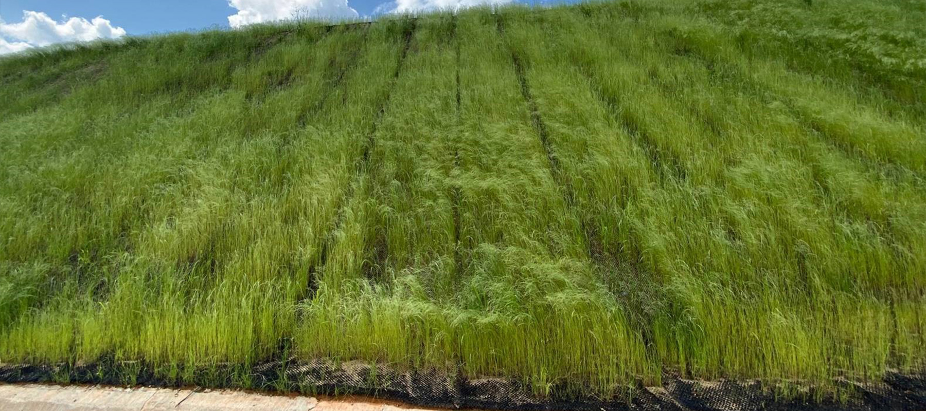 Protezione scarpate - Soluzioni ingegneria Maccaferri